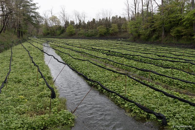 foto_20190430_1031_01_LR.jpg - cmichel@ballonspass.de