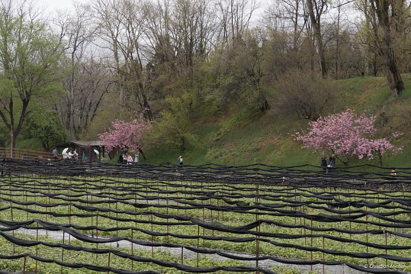 foto_20190430_1039_01_LR.jpg - cmichel@ballonspass.de