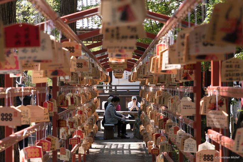 foto_20190502_1323_02_LR.jpg - cmichel@ballonspass.de