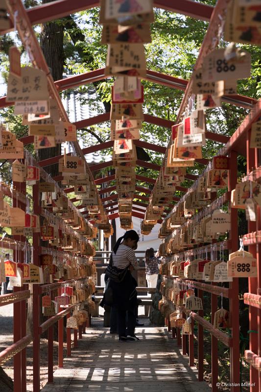 foto_20190502_1325_03_LR.jpg - cmichel@ballonspass.de