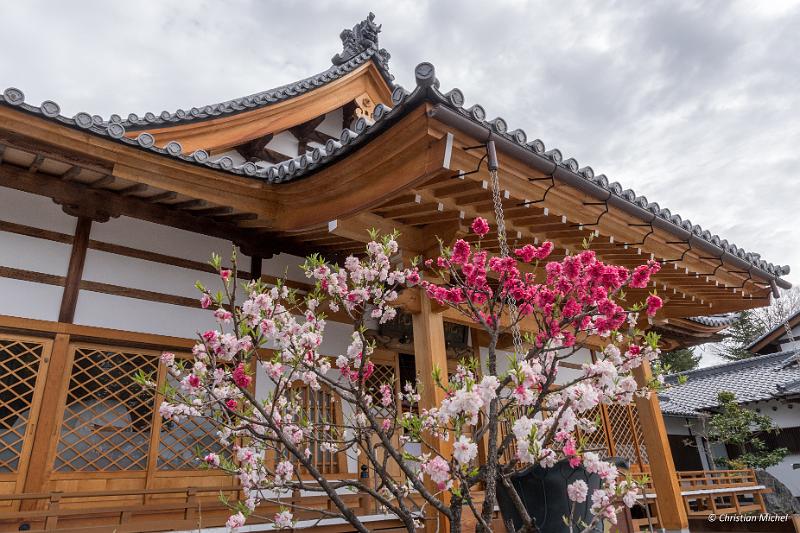 foto_20190501_0827_01-HDR_LR.jpg - cmichel@ballonspass.de