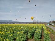 foto_20190503_074248_169_LR