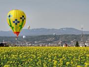 foto_20190503_075502_921_LR