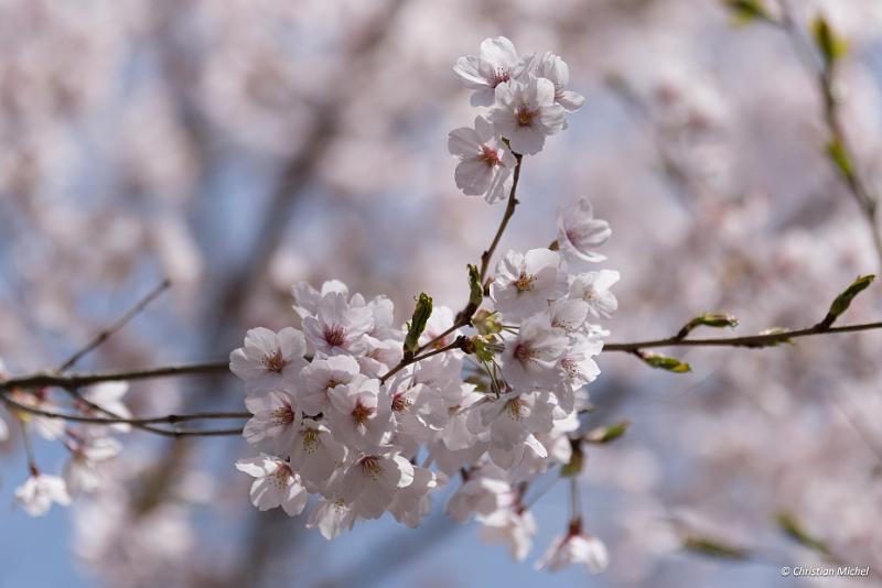 foto_20190420_1302_01_LR.jpg - cmichel@ballonspass.de