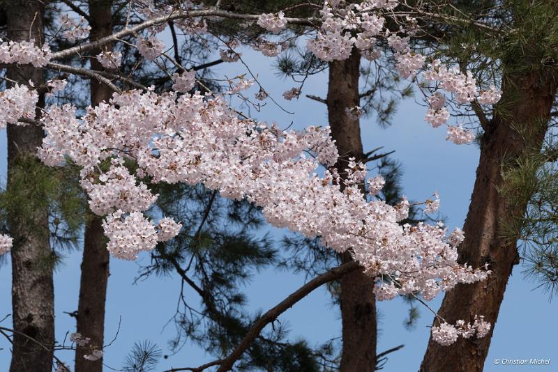 foto_20190420_1328_01_LR.jpg - cmichel@ballonspass.de