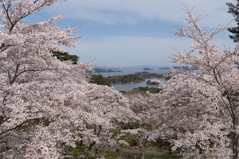 foto_20190420_1332_01_LR.jpg - cmichel@ballonspass.de