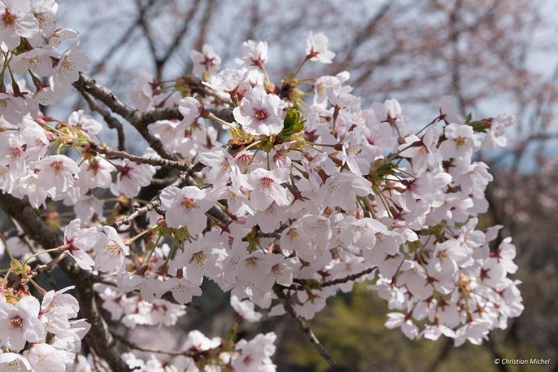 foto_20190420_1350_04_LR.jpg - cmichel@ballonspass.de