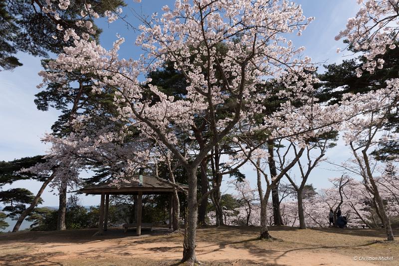 foto_20190420_1414_01_LR.jpg - cmichel@ballonspass.de