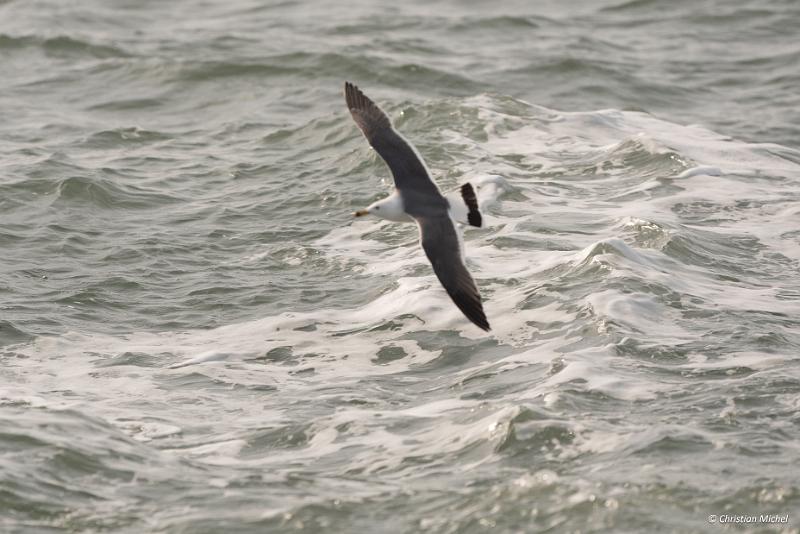 foto_20190420_1530_05_LR.jpg - cmichel@ballonspass.de