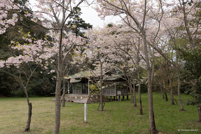 foto_20190421_0906_01_LR.jpg - cmichel@ballonspass.de