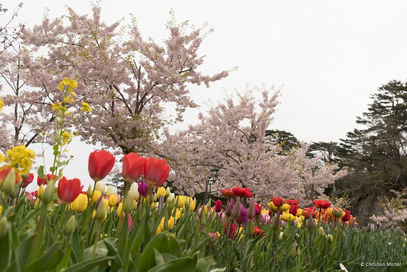 foto_20190421_0910_02_LR.jpg - cmichel@ballonspass.de