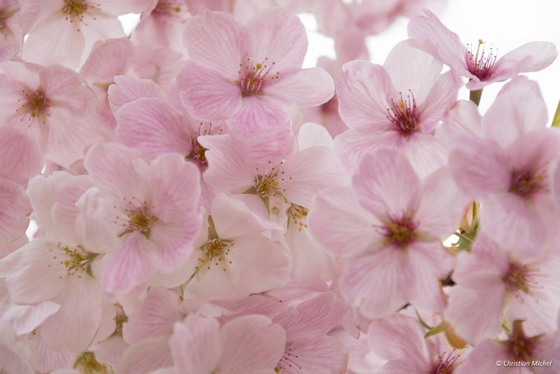 foto_20190421_0914_01_LR.jpg - cmichel@ballonspass.de