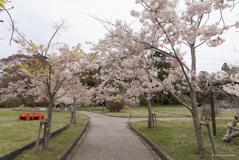 foto_20190421_0916_01_LR.jpg - cmichel@ballonspass.de