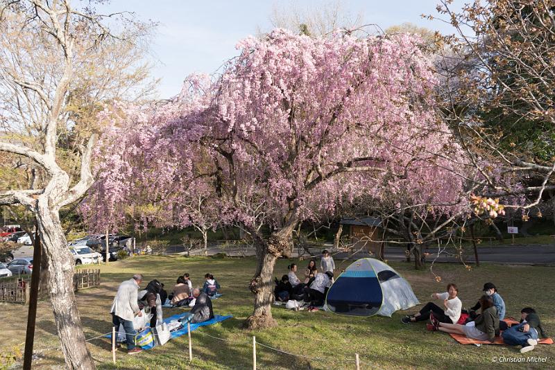 foto_20190420_1617_02_LR.jpg - cmichel@ballonspass.de