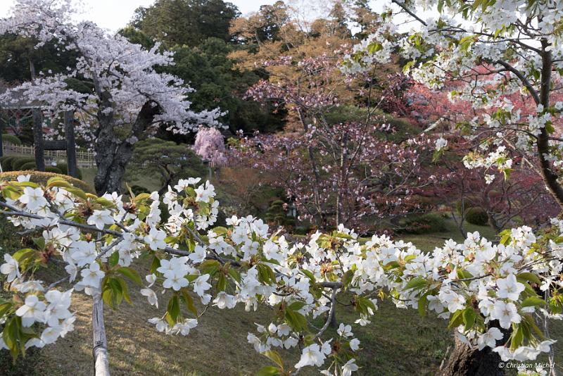 foto_20190420_1621_01_LR.jpg - cmichel@ballonspass.de