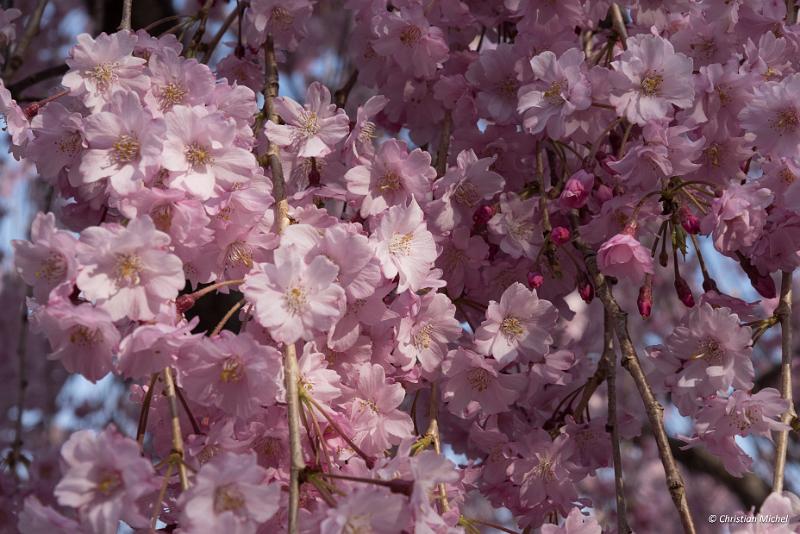 foto_20190420_1623_02_LR.jpg - cmichel@ballonspass.de