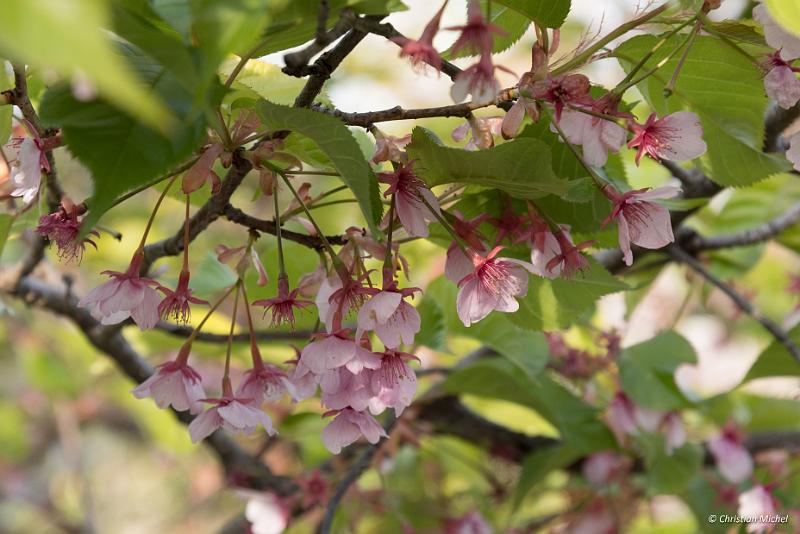 foto_20190420_1624_01_LR.jpg - cmichel@ballonspass.de