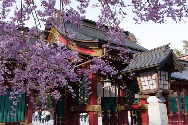 foto_20190420_1632_03_LR.jpg - cmichel@ballonspass.de