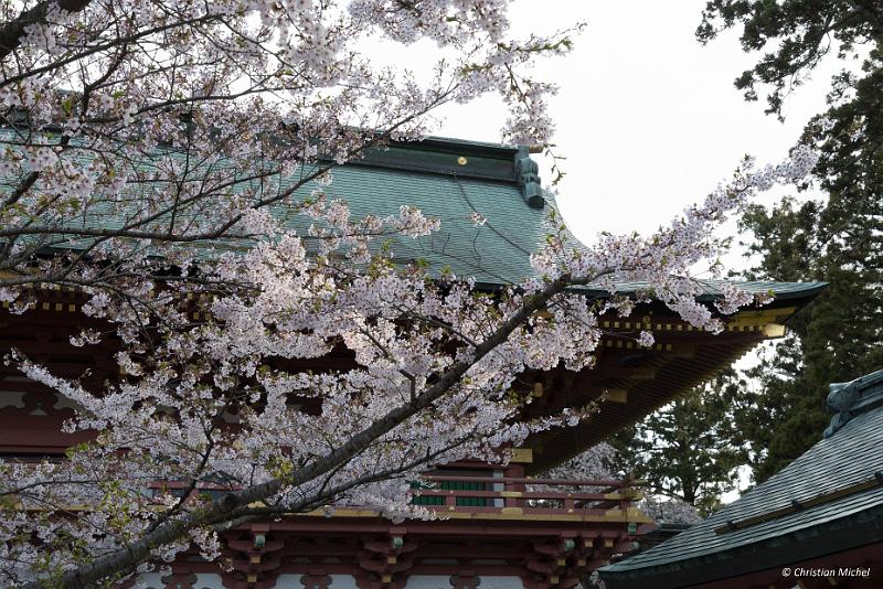 foto_20190420_1639_02_LR.jpg - cmichel@ballonspass.de