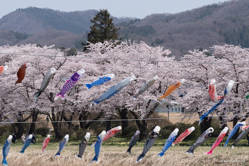 foto_20190422_1128_03_LR.jpg - cmichel@ballonspass.de