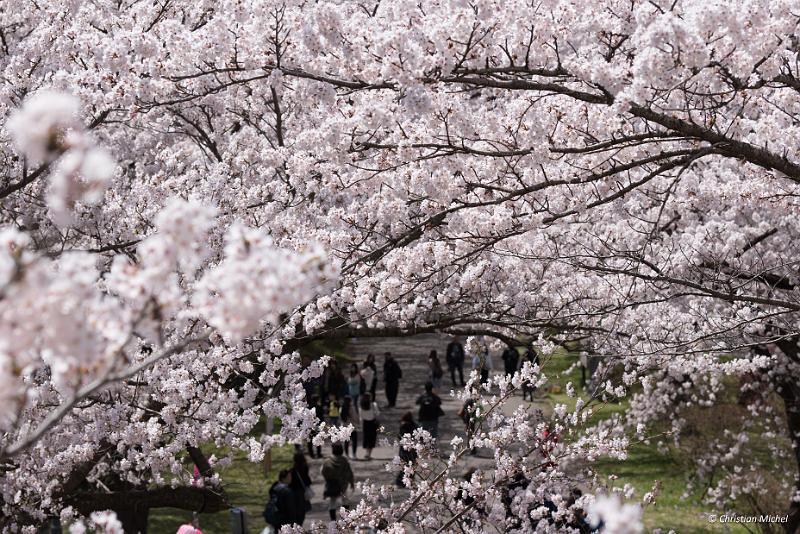 foto_20190422_1140_01_LR.jpg - cmichel@ballonspass.de