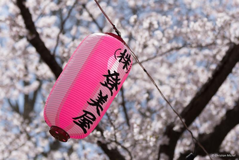 foto_20190422_1144_01_LR.jpg - cmichel@ballonspass.de