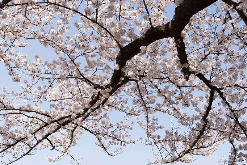 foto_20190422_1203_03_LR.jpg - cmichel@ballonspass.de