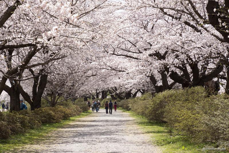 foto_20190422_1204_02_LR.jpg - cmichel@ballonspass.de