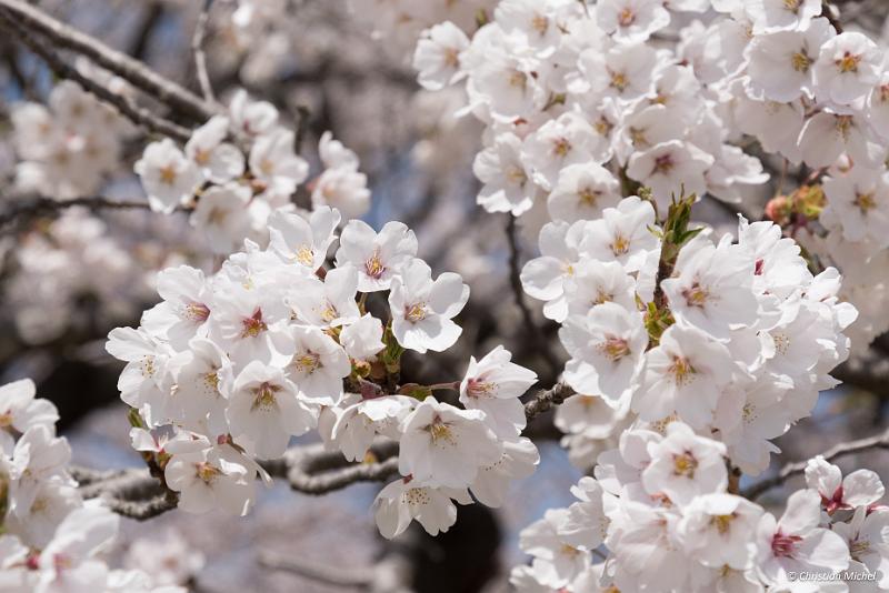 foto_20190422_1206_02_LR.jpg - cmichel@ballonspass.de