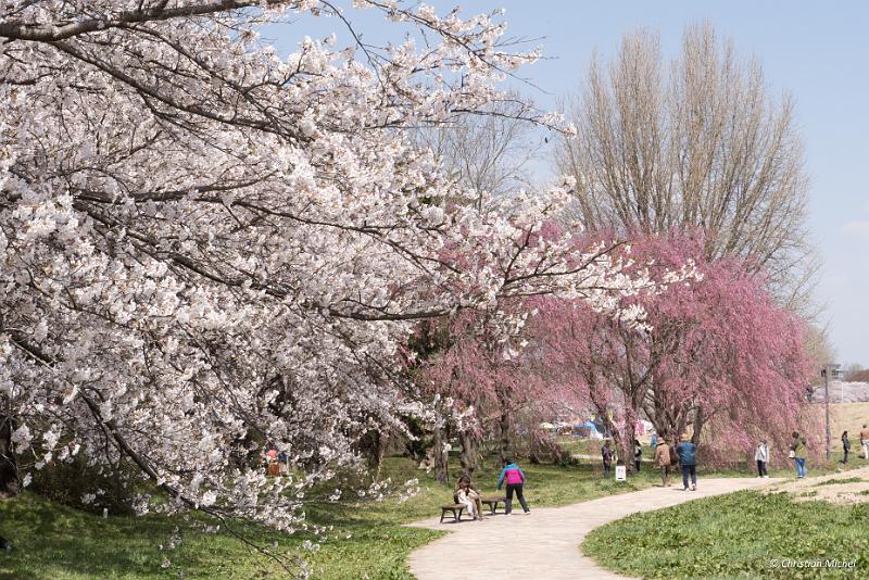 foto_20190422_1207_02_LR.jpg - cmichel@ballonspass.de