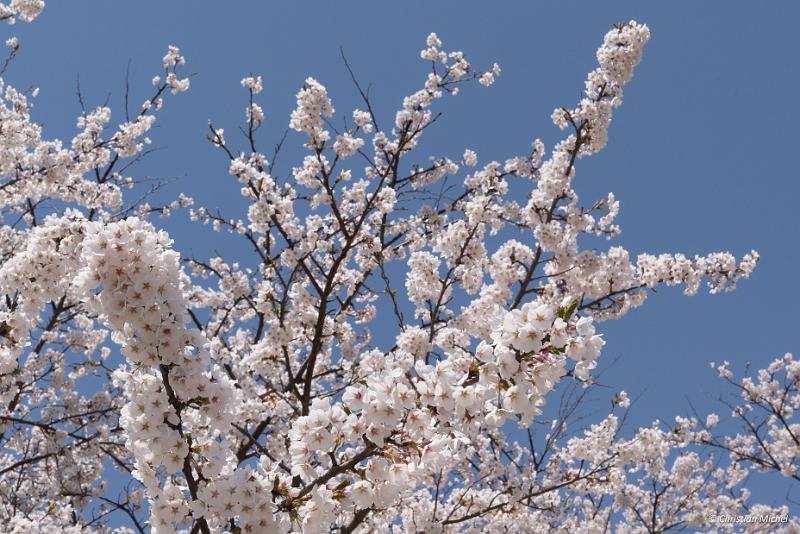 foto_20190422_1208_04_LR.jpg - cmichel@ballonspass.de