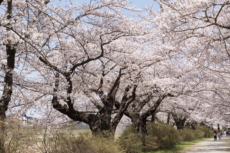 foto_20190422_1209_02_LR.jpg - cmichel@ballonspass.de