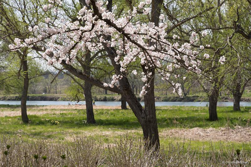 foto_20190422_1214_01_LR.jpg - cmichel@ballonspass.de