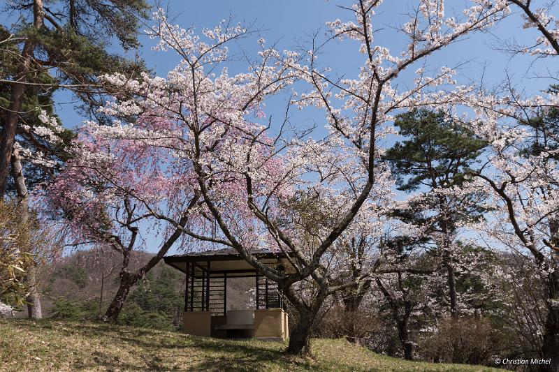 foto_20190422_1248_01_LR.jpg - cmichel@ballonspass.de