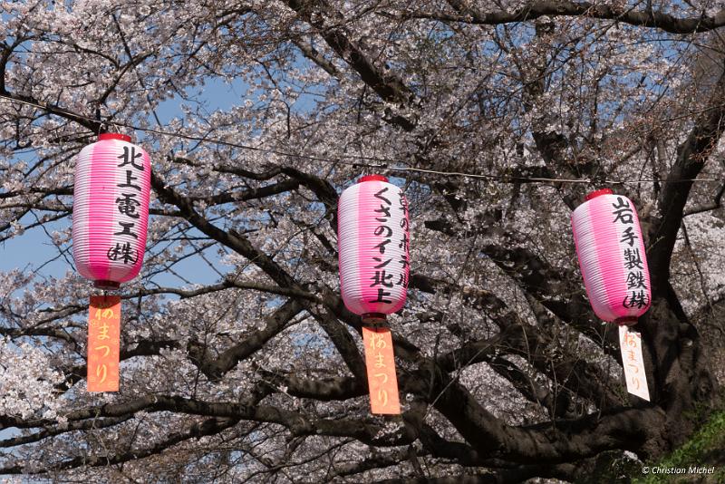 foto_20190422_1302_02_LR.jpg - cmichel@ballonspass.de