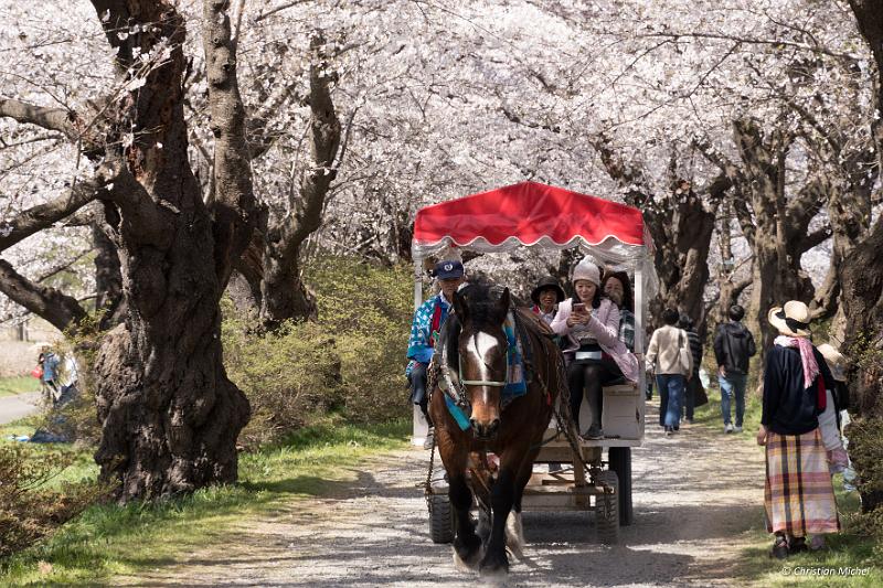 foto_20190422_1353_02_LR.jpg - cmichel@ballonspass.de