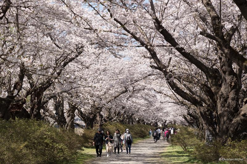 foto_20190422_1404_01_LR.jpg - cmichel@ballonspass.de