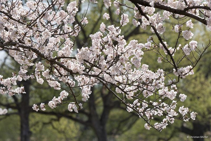 foto_20190422_1424_02_LR.jpg - cmichel@ballonspass.de