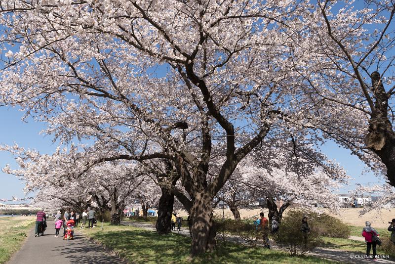 foto_20190422_1433_01_LR.jpg - cmichel@ballonspass.de