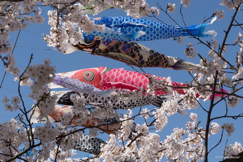 foto_20190422_1438_02_LR.jpg - cmichel@ballonspass.de