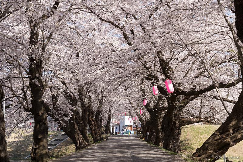 foto_20190422_1446_02_LR.jpg - cmichel@ballonspass.de