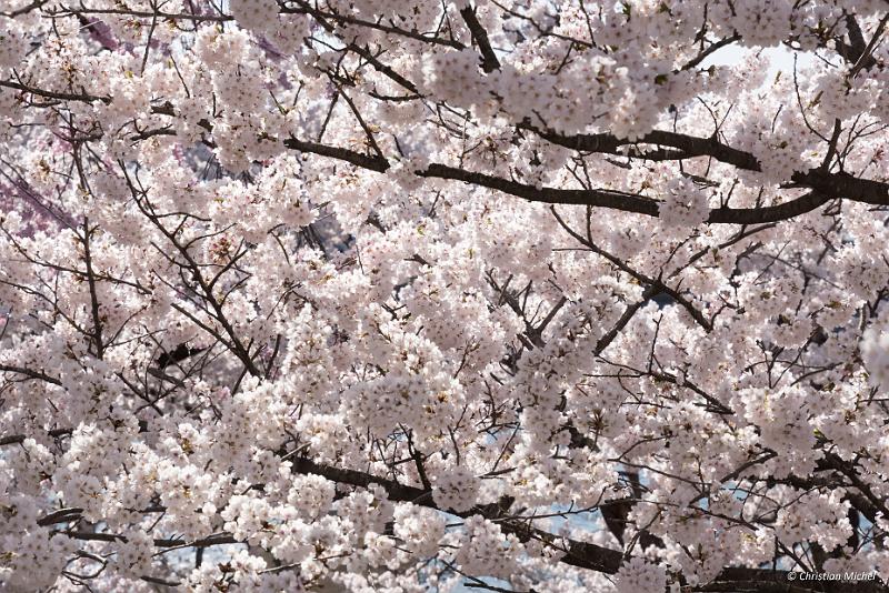 foto_20190422_1452_01_LR.jpg - cmichel@ballonspass.de