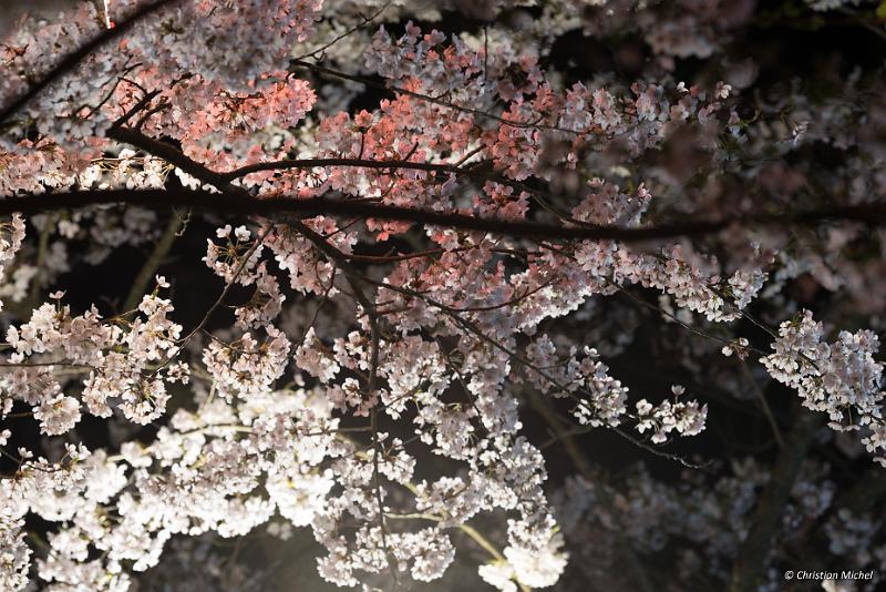 foto_20190422_2019_01_LR.jpg - cmichel@ballonspass.de