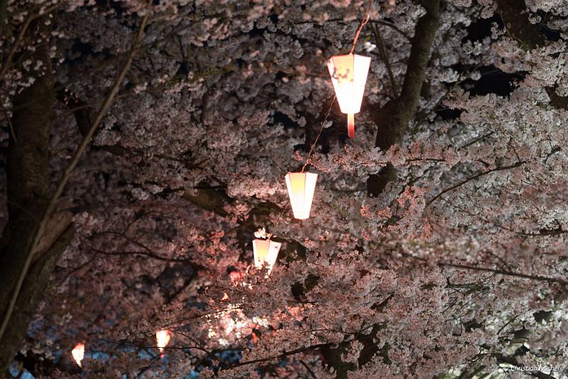 foto_20190422_2021_01_LR.jpg - cmichel@ballonspass.de