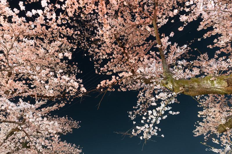 foto_20190422_2053_01_LR.jpg - cmichel@ballonspass.de