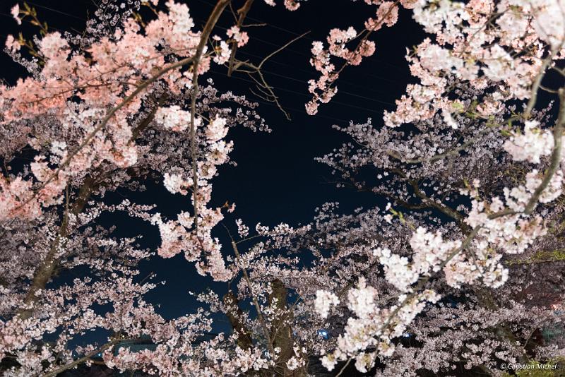 foto_20190422_2101_01_LR.jpg - cmichel@ballonspass.de