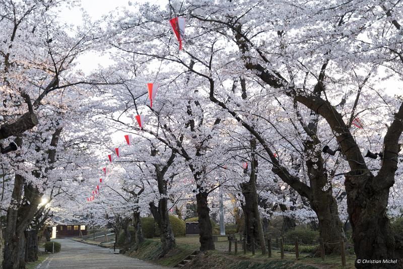 foto_20190423_0436_01_LR.jpg - cmichel@ballonspass.de