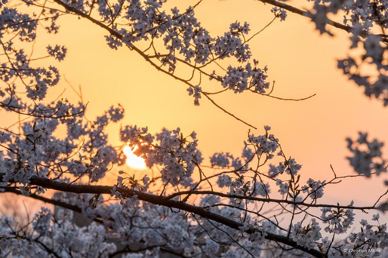 foto_20190423_0508_01-HDR_LR.jpg - cmichel@ballonspass.de