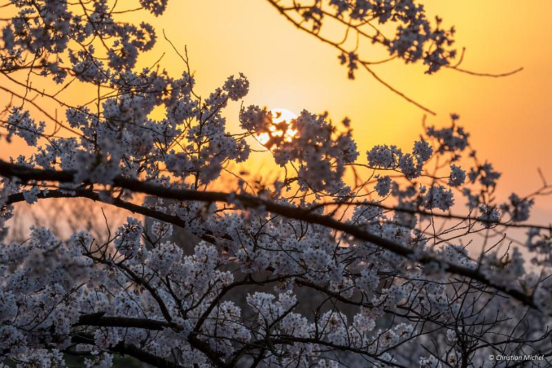 foto_20190423_0509_01-HDR_LR.jpg - cmichel@ballonspass.de