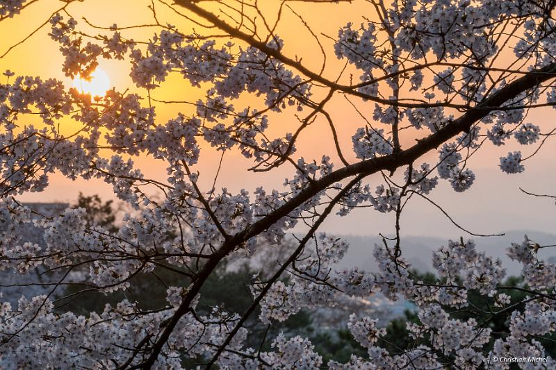 foto_20190423_0510_02-HDR_LR-3.jpg - cmichel@ballonspass.de